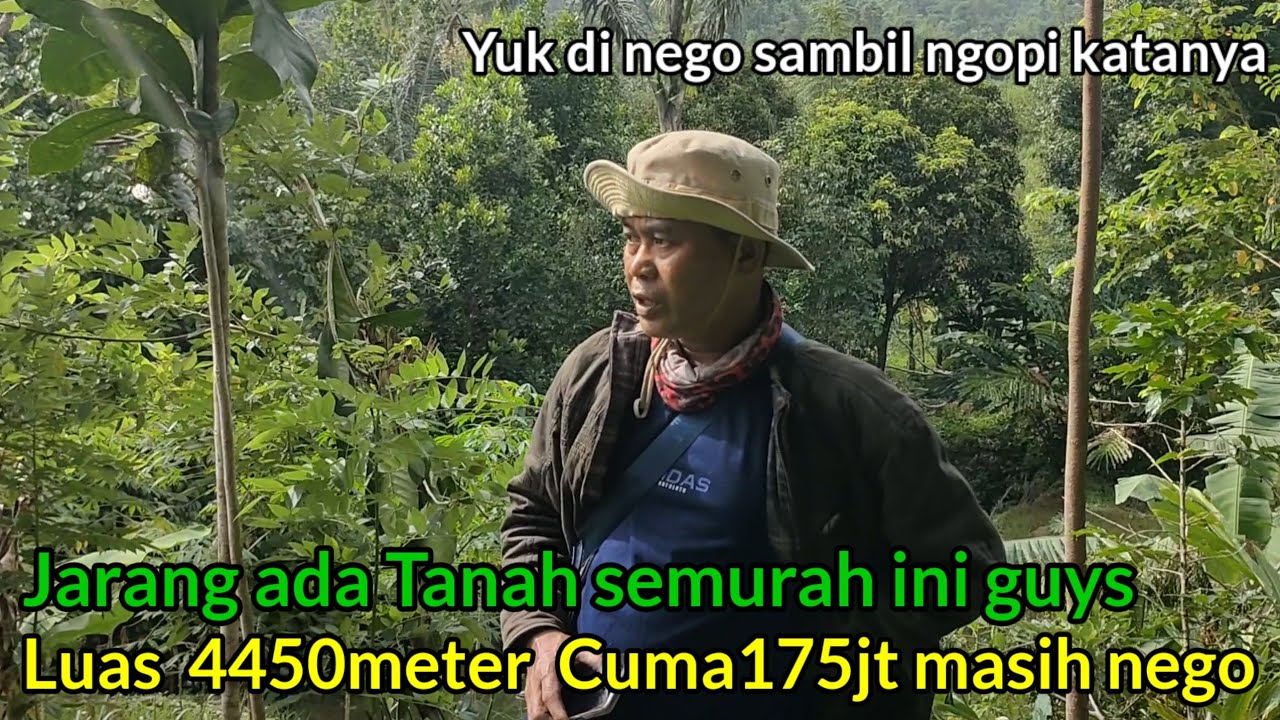 wow murah pisan‼️4450meter Ditawarkan 175jt masih nego Surat udah SHM gaskan