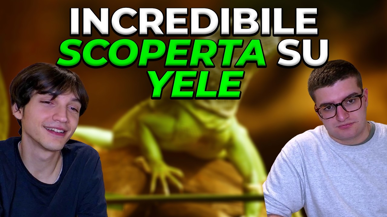 Una SCONVOLGENTE scoperta su Yele