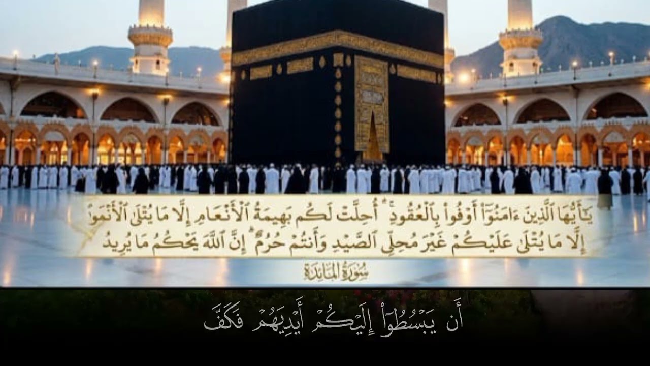 #سورة_المائدة 
