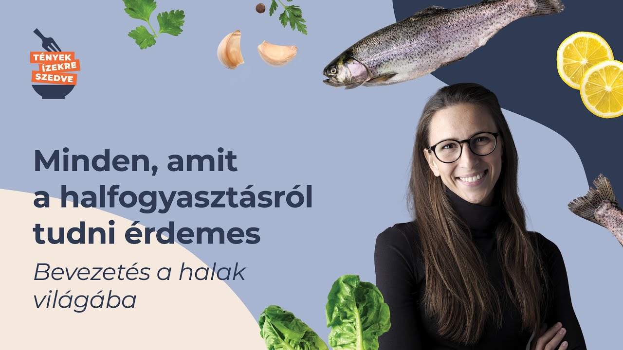 Minden, amit a halfogyaszt&aacute;sr&oacute;l tudni &eacute;rdemes - Bevezet&eacute;s a halak vil&aacute;g&aacute;ba