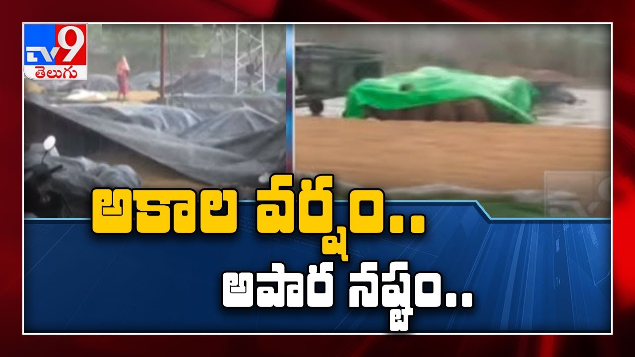 Huge crop damage to heavy rain in AP - TV9