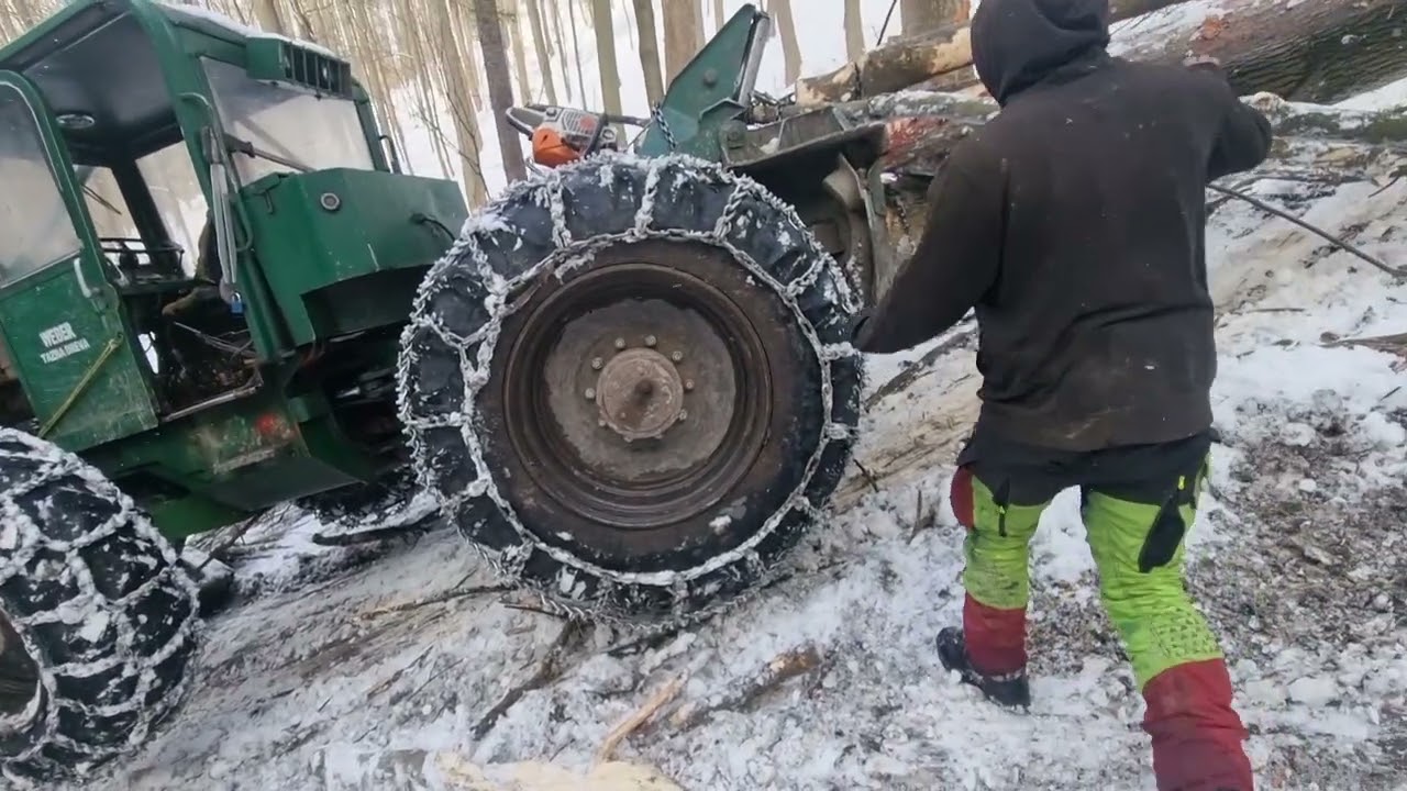 lkt 80  deň 4 🤣🤣 pekne buky a trapenie s velkou skalou pod lkt 🙈🙈🤪 kaskadéri🤪🤪🤣