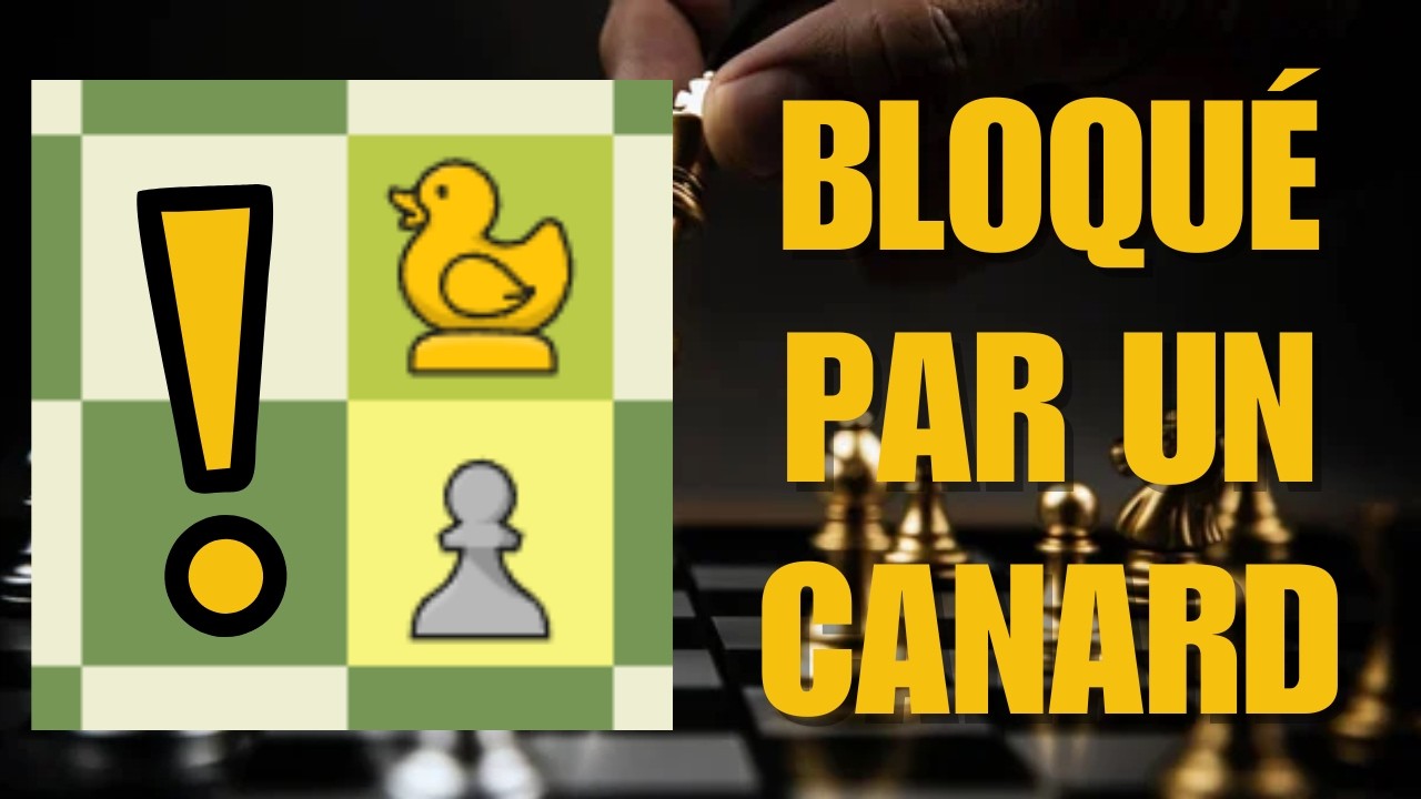 Les Echecs mais avec un Canard ?!
