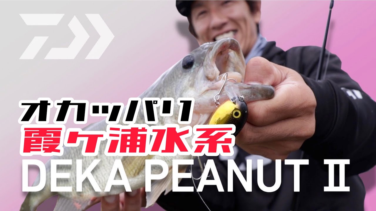 DAIWA 実釣ルアーマニュアル　デカピーナッツ２(DEKA PEANUTⅡ）橋本卓哉