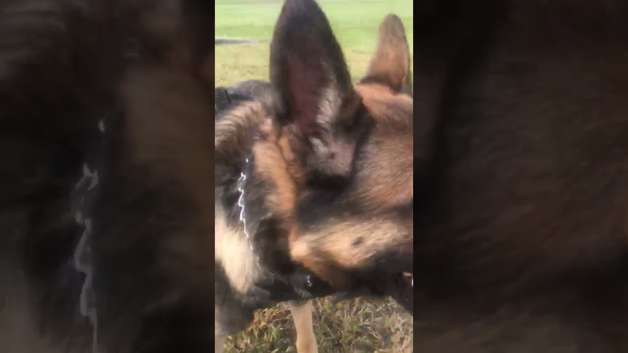 #fetch