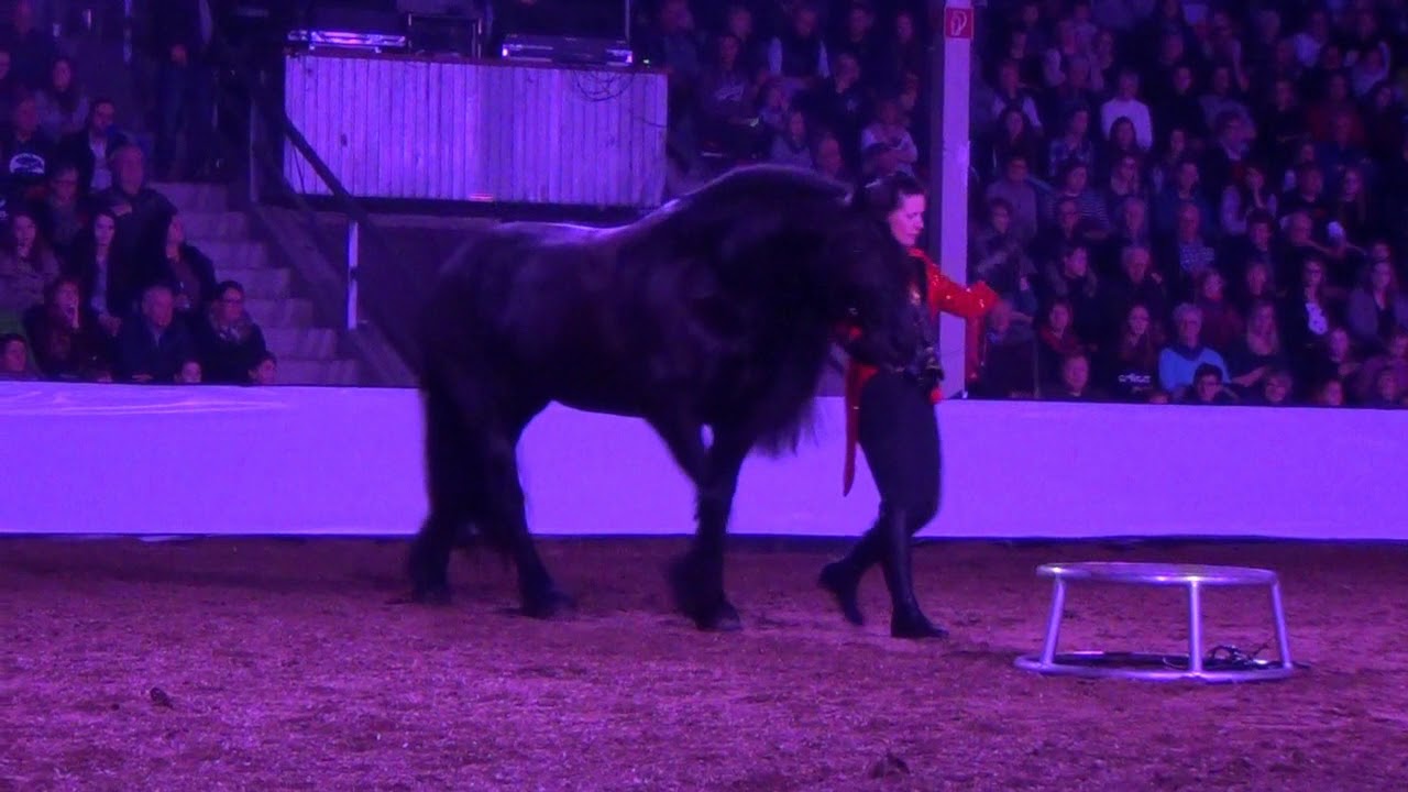 Galaabend der Pferde Leer 2018  Ostfrieslandhalle  Heidi & Abeltje SHOW