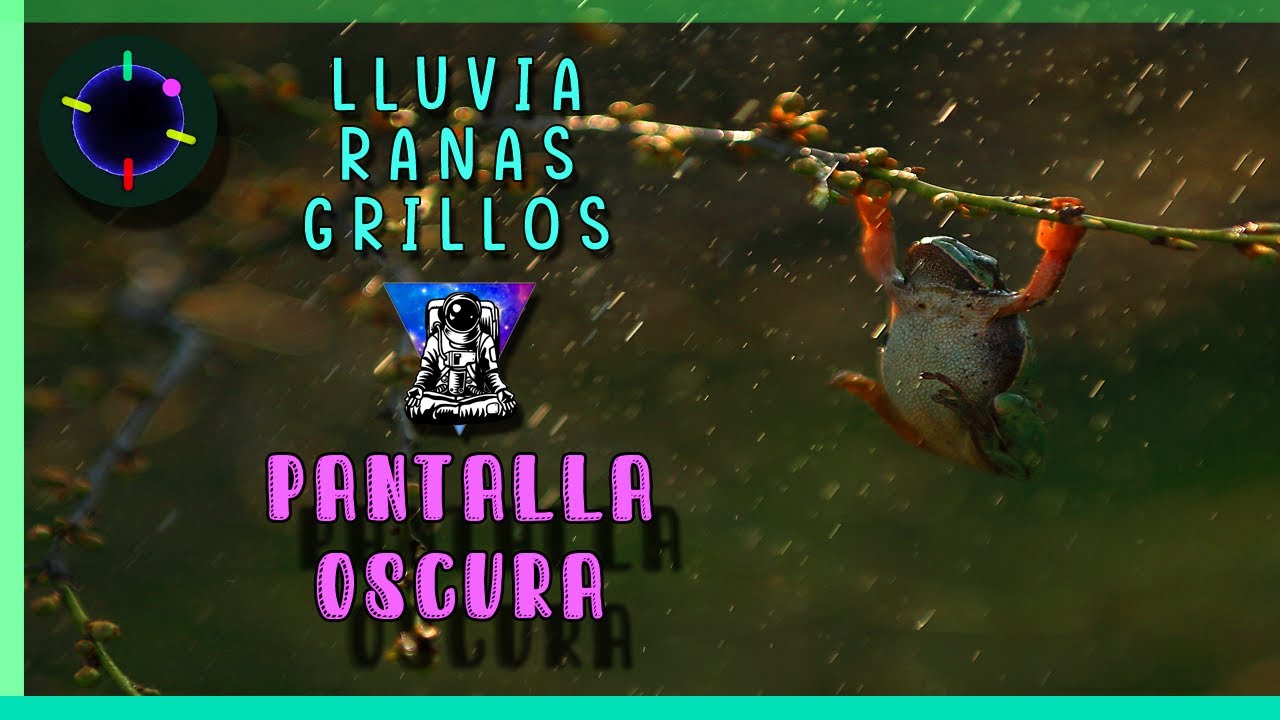 Sonidos de LLUVIA, RANAS y GRILLOS relajantes para DORMIR 😴🌧 | Pantalla Negra | El MEJOR vídeo