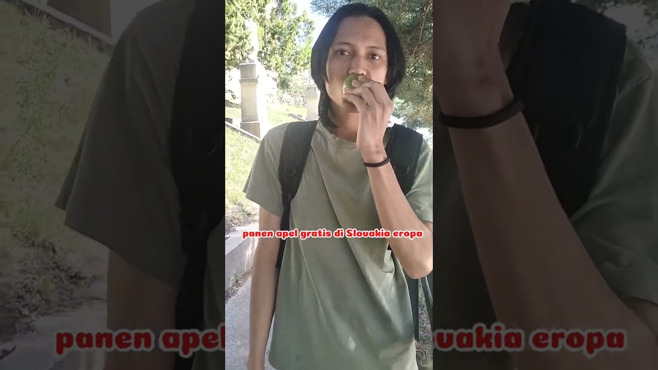 panen apel gratis di Slovakia eropa makan sampai kenyang