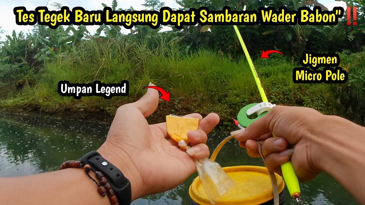 Perdana turun langsung melengkung || Mancing wader di sungai teknik pelampung | Tegek Jigmen Micro