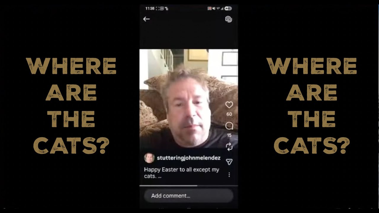 Where Are The Cats, John?
