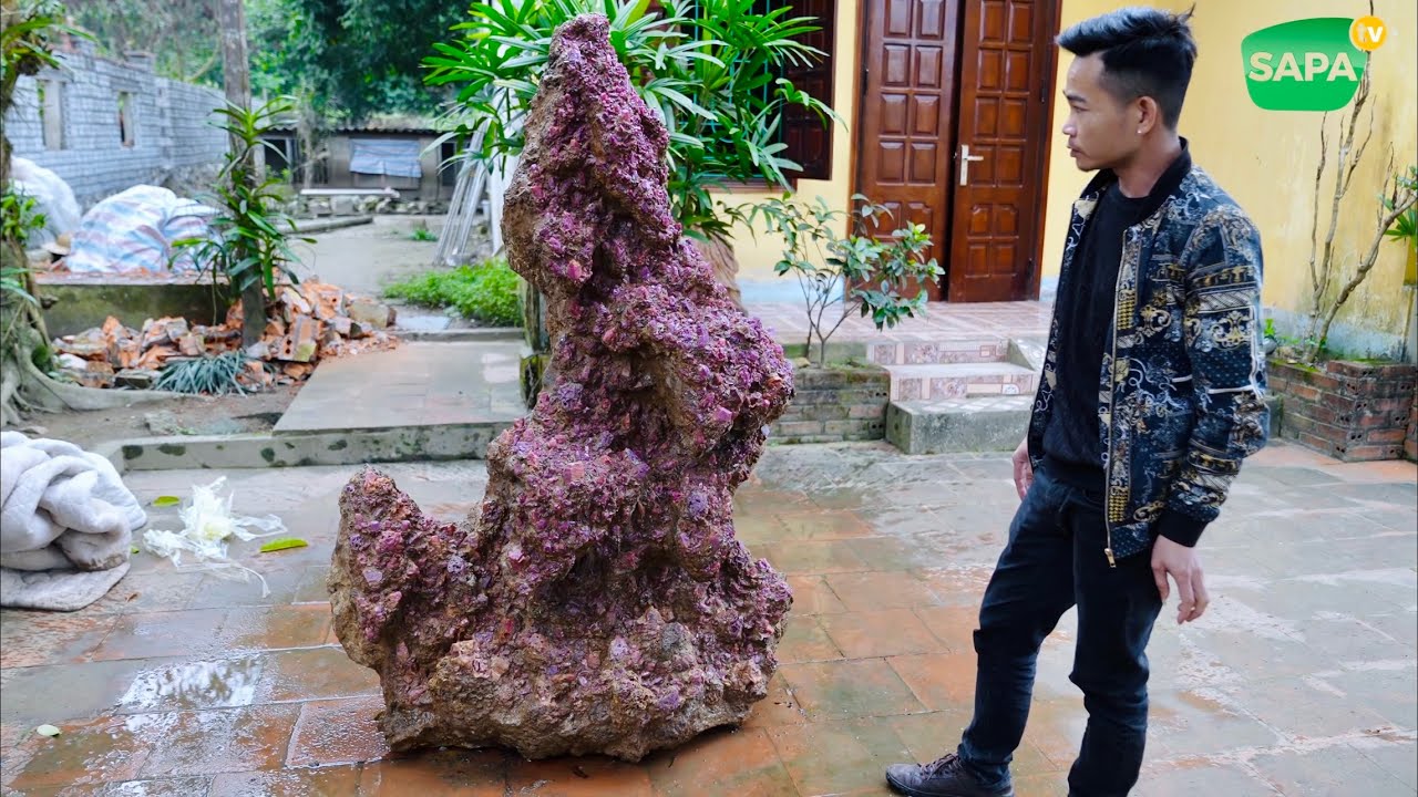 SAPA TV | TINH THỂ ĐÁ RUBY 10 TỶ CHỢ ĐÁ QUÝ LỤC YÊN VIỆT NAM