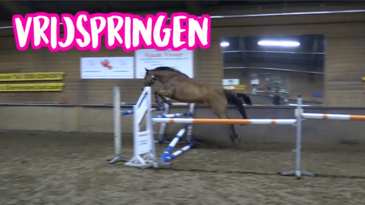 Hoe HOOG kan Dance springen? - #29 Romy van der Linden