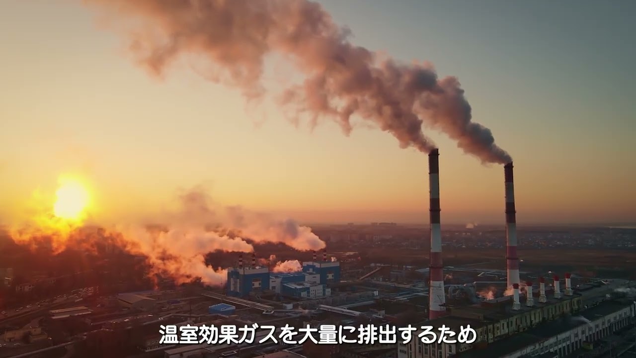 技術概要: ホメオスタティック．システミンス™には持続可能な経済効果があるのでしょうか？