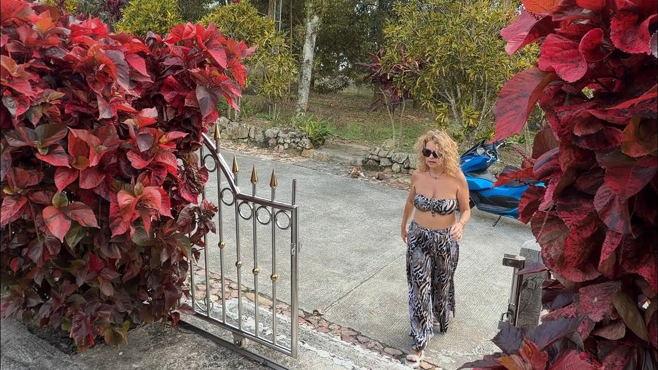 Zamieszkać w ananasie a może to pomysł na bines, Koh Samui Tajlandia 