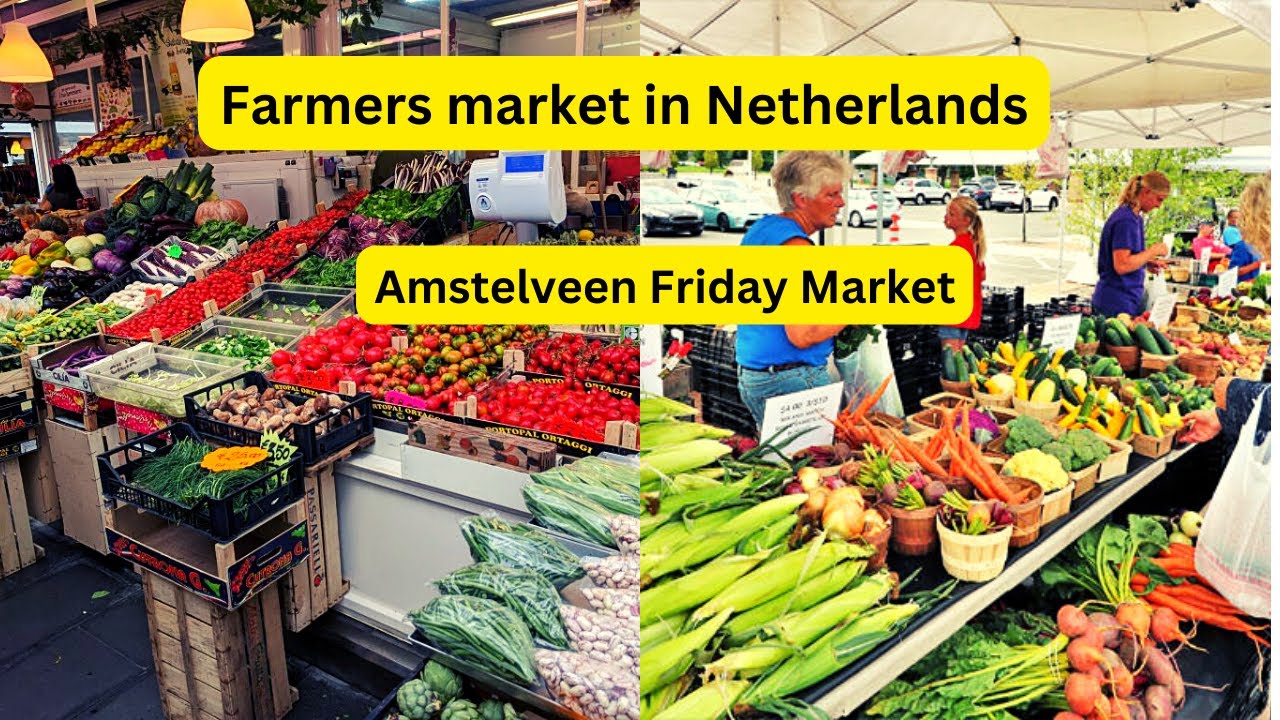 Netherland er Farmers Market Visit ll Amstelveen friday farmer market tour.