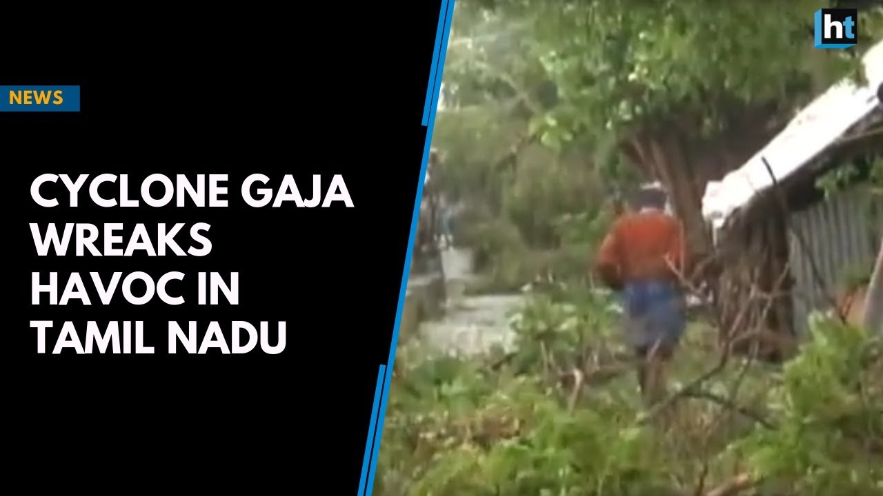 Cyclone Gaja wreaks havoc in Tamil Nadu