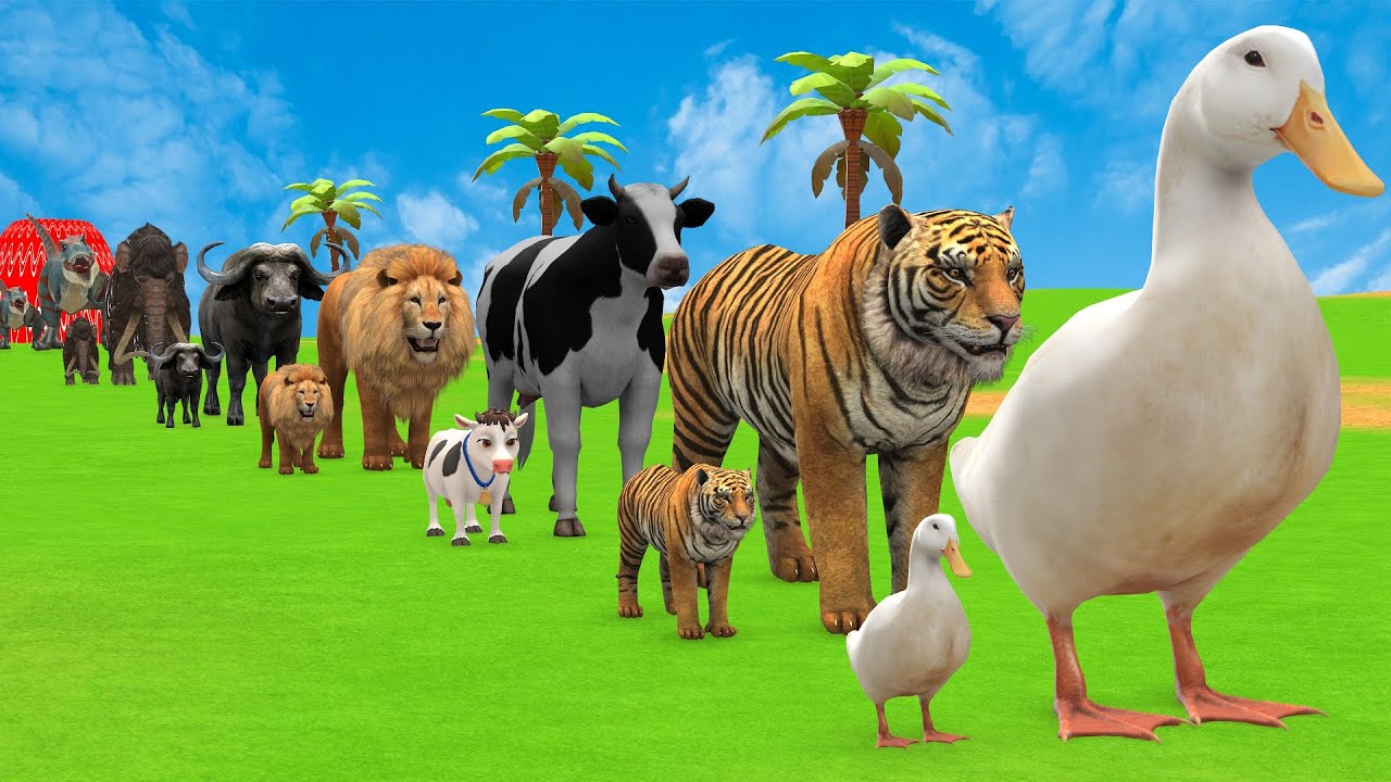 Long Slide Game with Cow Elephant Gorilla Hippopotamus Tiger 3d Animal Game Funny 3d Animals