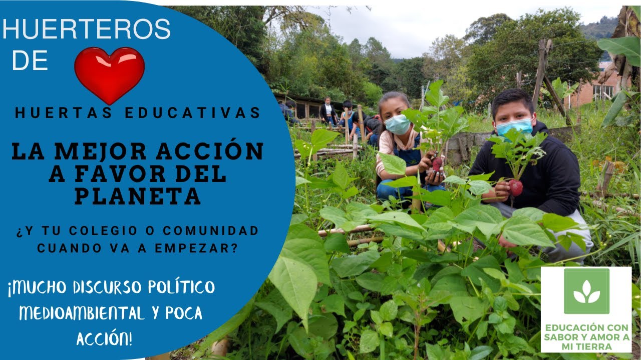 HUERTAS EDUCATIVAS ¿SE DEBE ENSEÑAR A LOS NIÑOS A CULTIVAR ALIMENTOS, COMO PARTE DE SU EDUCACIÓN?