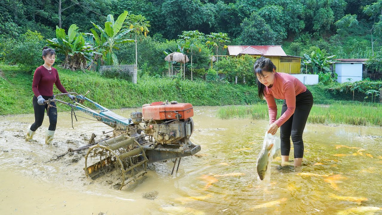 Nhat Prepares Fish Pond With Her Own Hands – Pumping Water, Plowing Land & Releasing Fish Seed