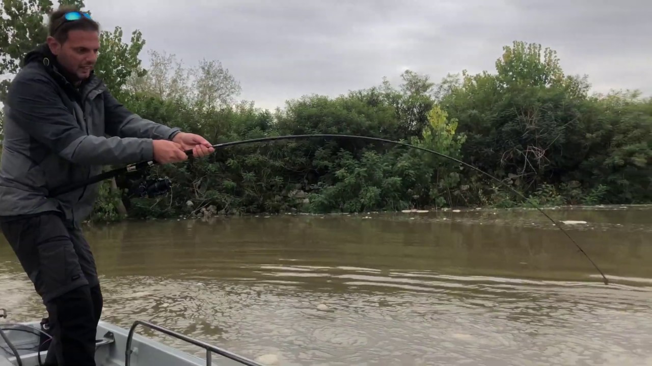 -CATFISHING ITALIA, SILURI IN PIENA-