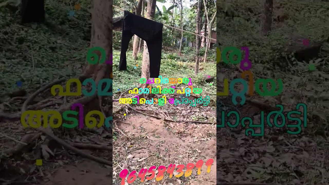 തൃശ്ശൂർ ജില്ലയിലെ തിരുവില്വാമ ഗ്രാമപഞ്ചായത്തിൽ 45 സെന്റർ പറമ്പ് താമസയോഗ്യമായ ഓടിട്ടവീട് പഞ്ചായത്തിൽ 