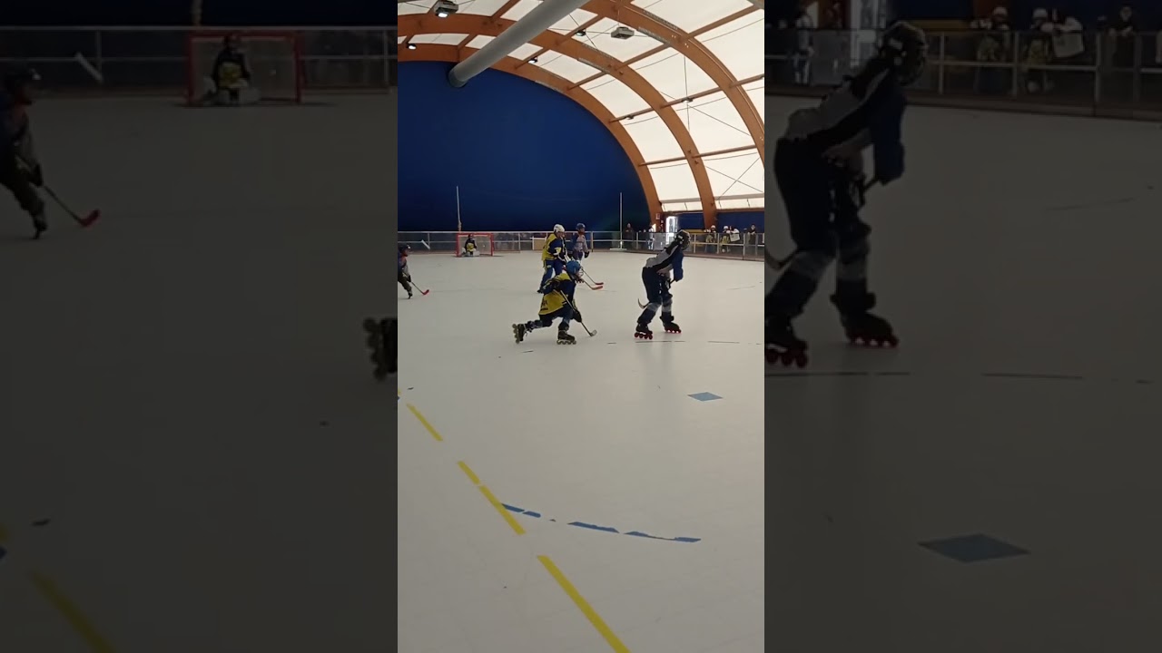 Hockey Scandiano 11 gennaio 2026
