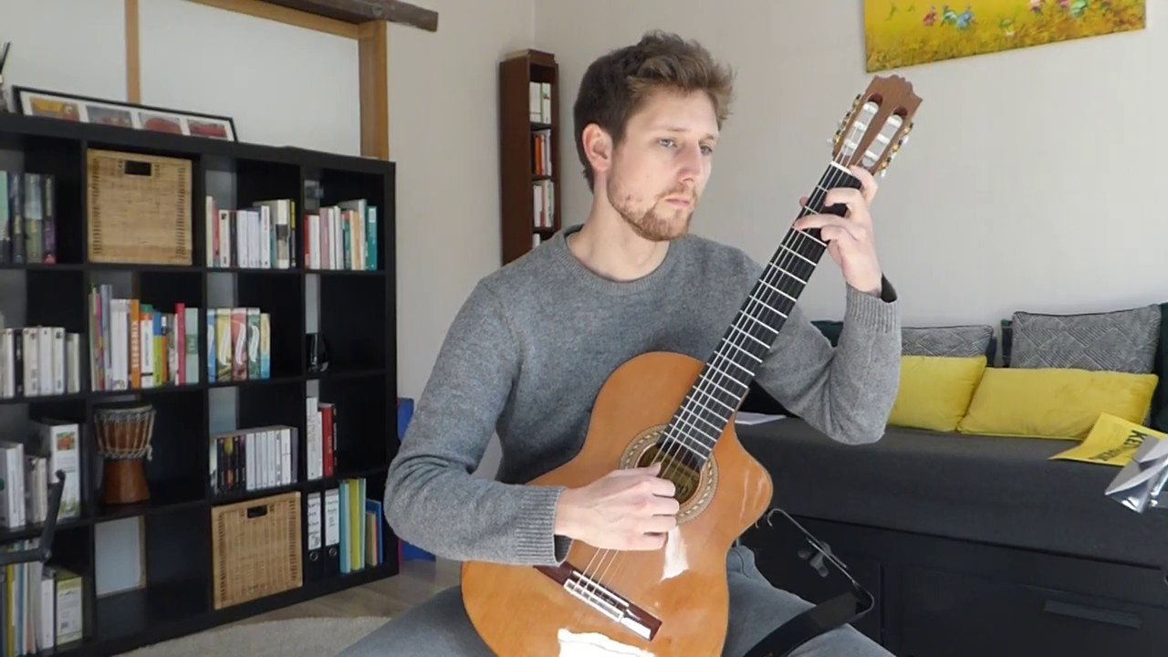 Jésus, Que Ma Joie Demeure (BWV 147) - J.S. Bach (guitare classique)