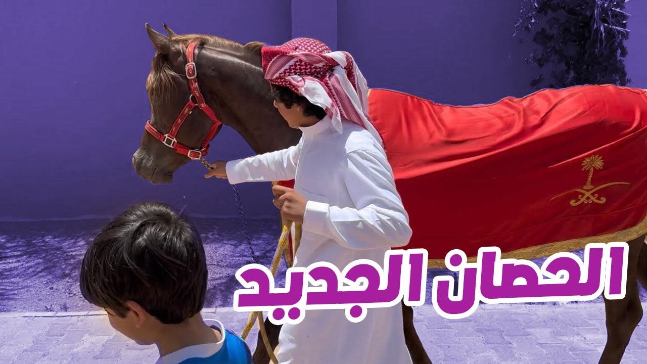 هدية عساف🎁🤩