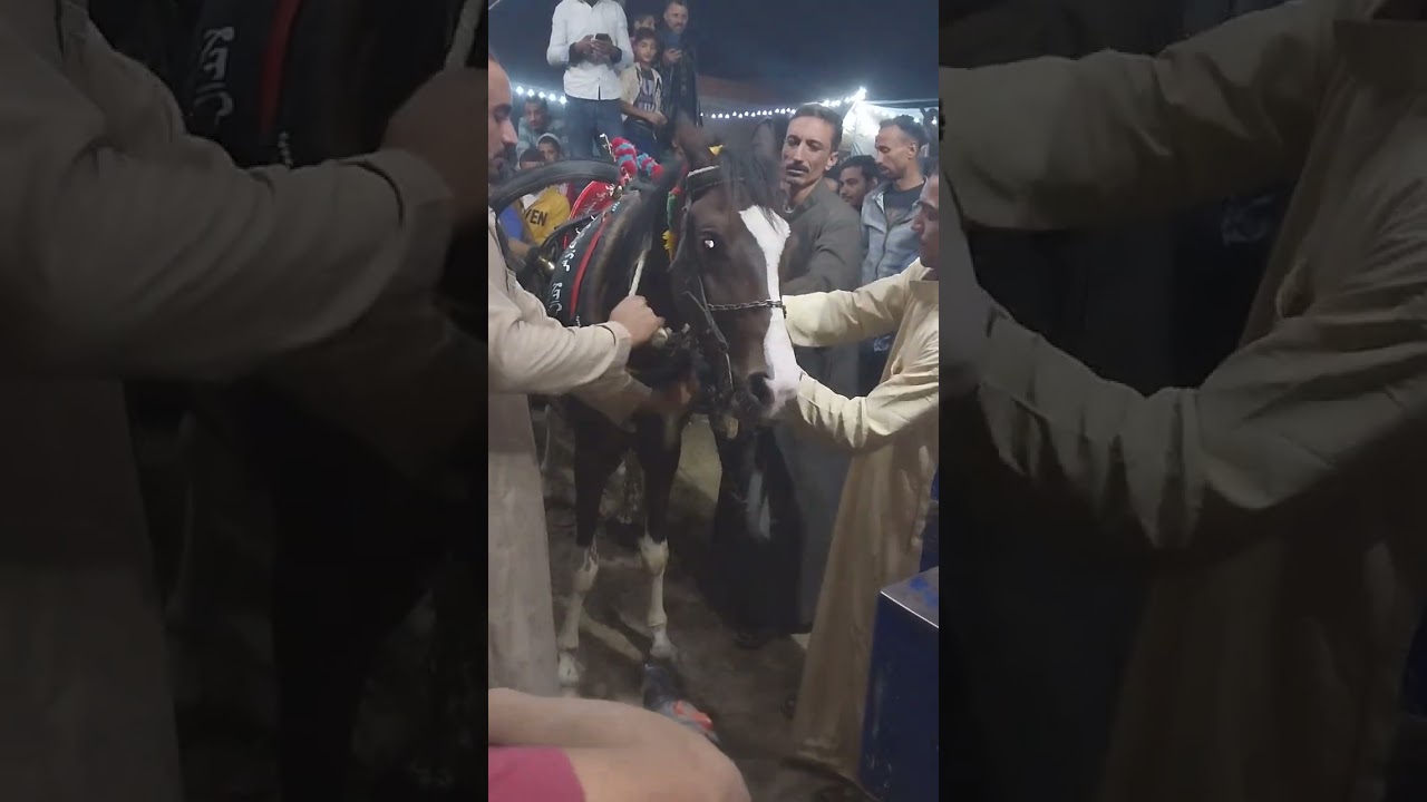الرجوله مواقف