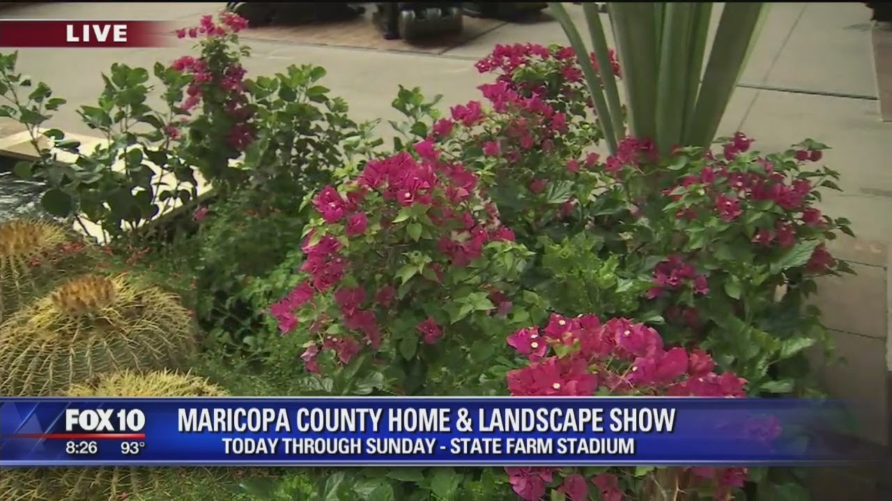 Cory's Corner: Maricopa County Home and Landscape Show