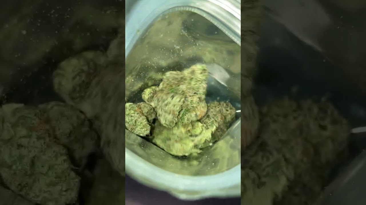 BLACK CHERRY GELATO BY COOKIES