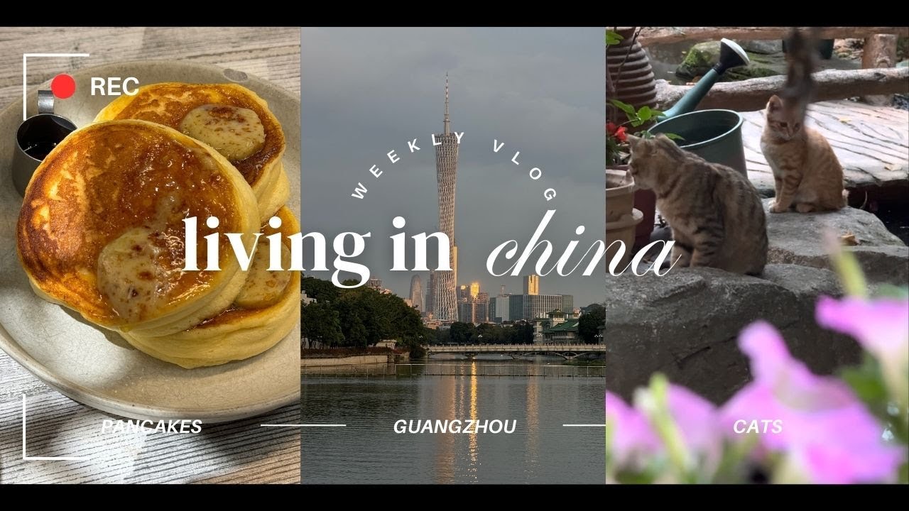 living abroad in china🇨🇳 - pancakes and cats in guangzhou 🥞🐻 aesthetic vlog
