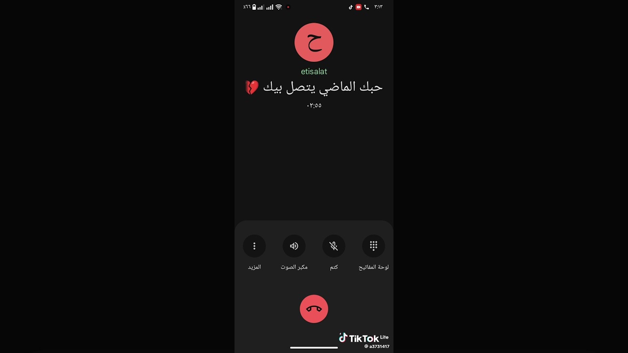 ٢٩ يونيو ٢٠٢٥