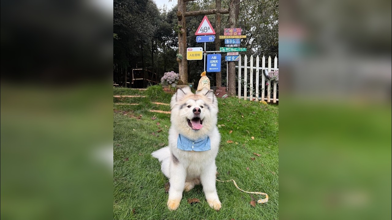 恩比恩比