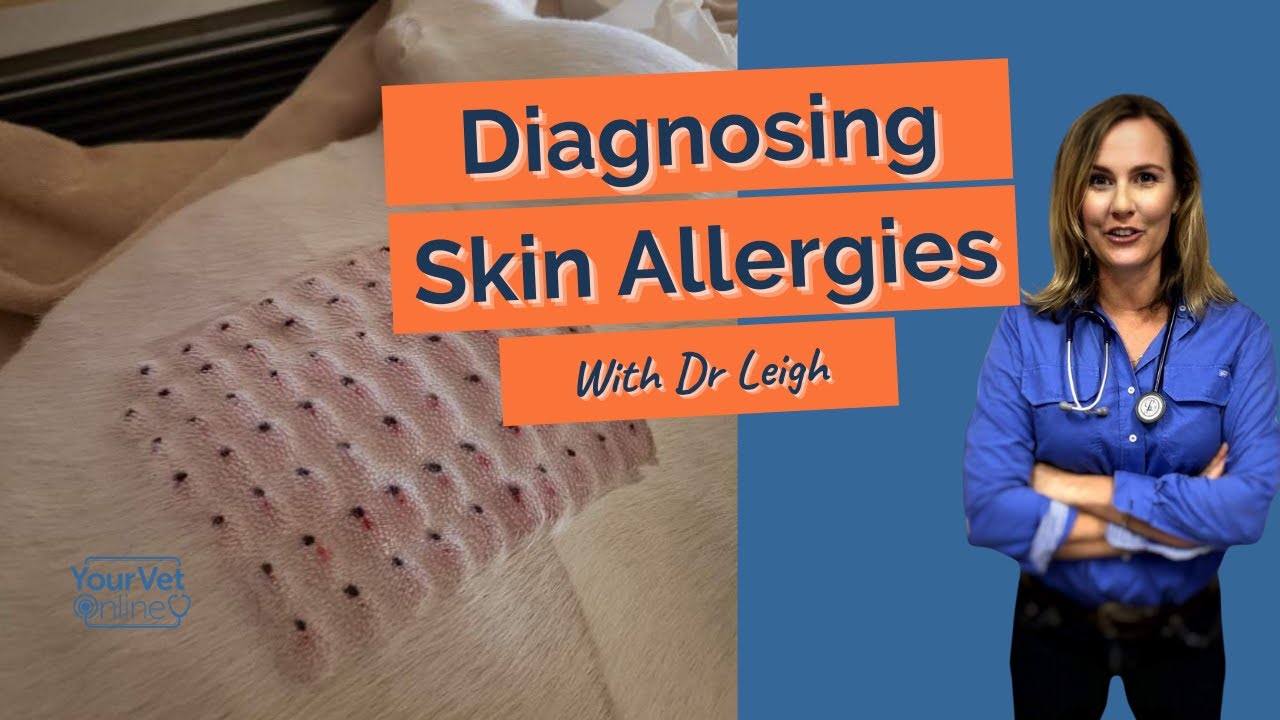 Intradermal Skin Testing | Diagnosing Skin Allergies