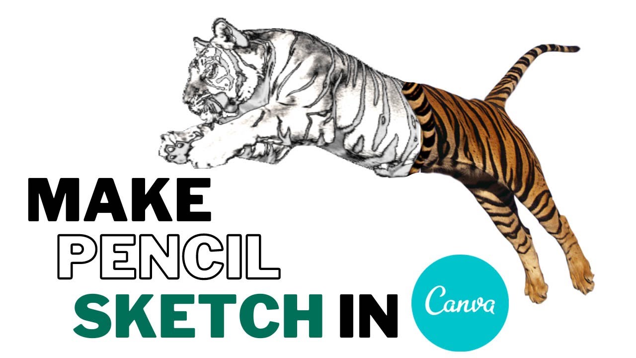 How to turn a photo into a pencil sketch in canva | Tutorial by DLC Ventures India