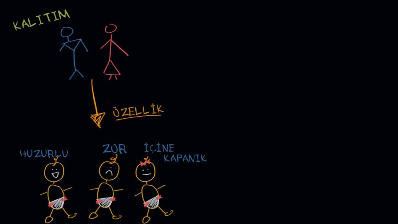 Huy, Kalıtım ve Genler (Psikoloji / Davranış)