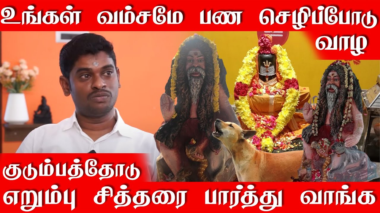 உங்கள் வம்சமே பண செழிப்போடு வாழ குடும்பத்தோடு எறும்பு சித்தரை பார்த்து வாருங்கள் | ஒலக்கூர் சித்தர்