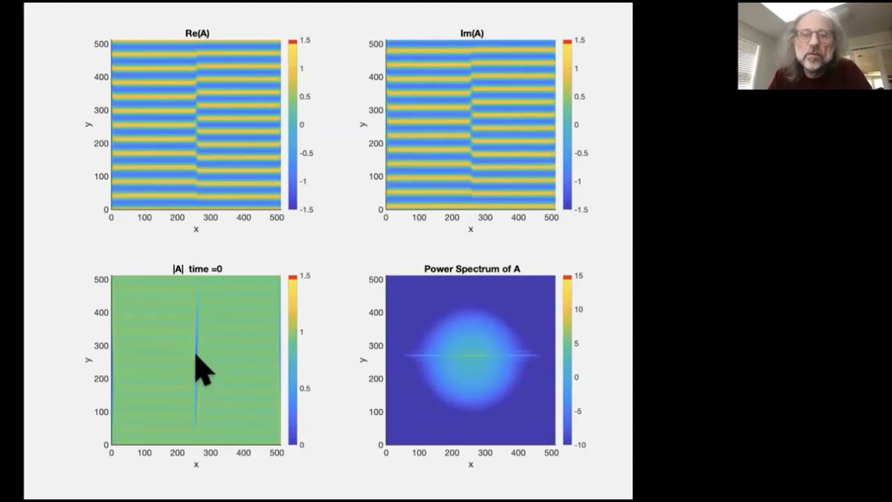 412 46 The Complex Ginzburg-Landau Equation: 2d Simulations