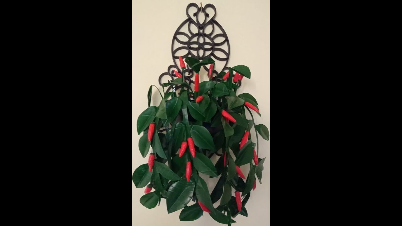 Arranjo de pimenta para parede , feito de garrafa pet e saco plástico - Pepper arrangement for wall