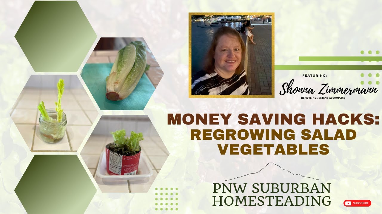 Regrowing Salad Vegetables