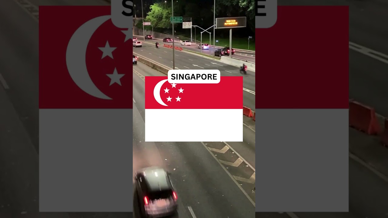 What is the Most Common Car in SINGAPORE #singapore #cars #country #common #pickup #driving #racing