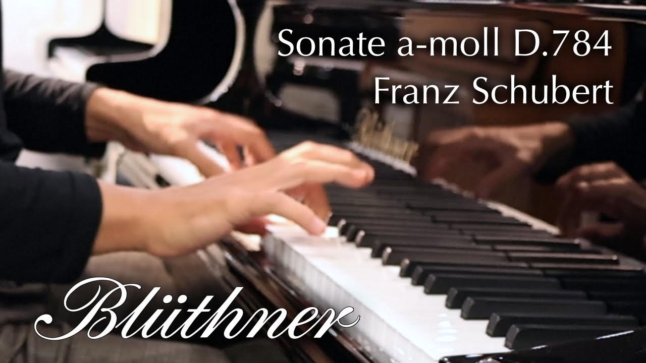 Restaurierter Bl&uuml;thner Fl&uuml;gel, 220cm, Bj.1890 | Schubert - Sonate a-moll D.784 3.Satz