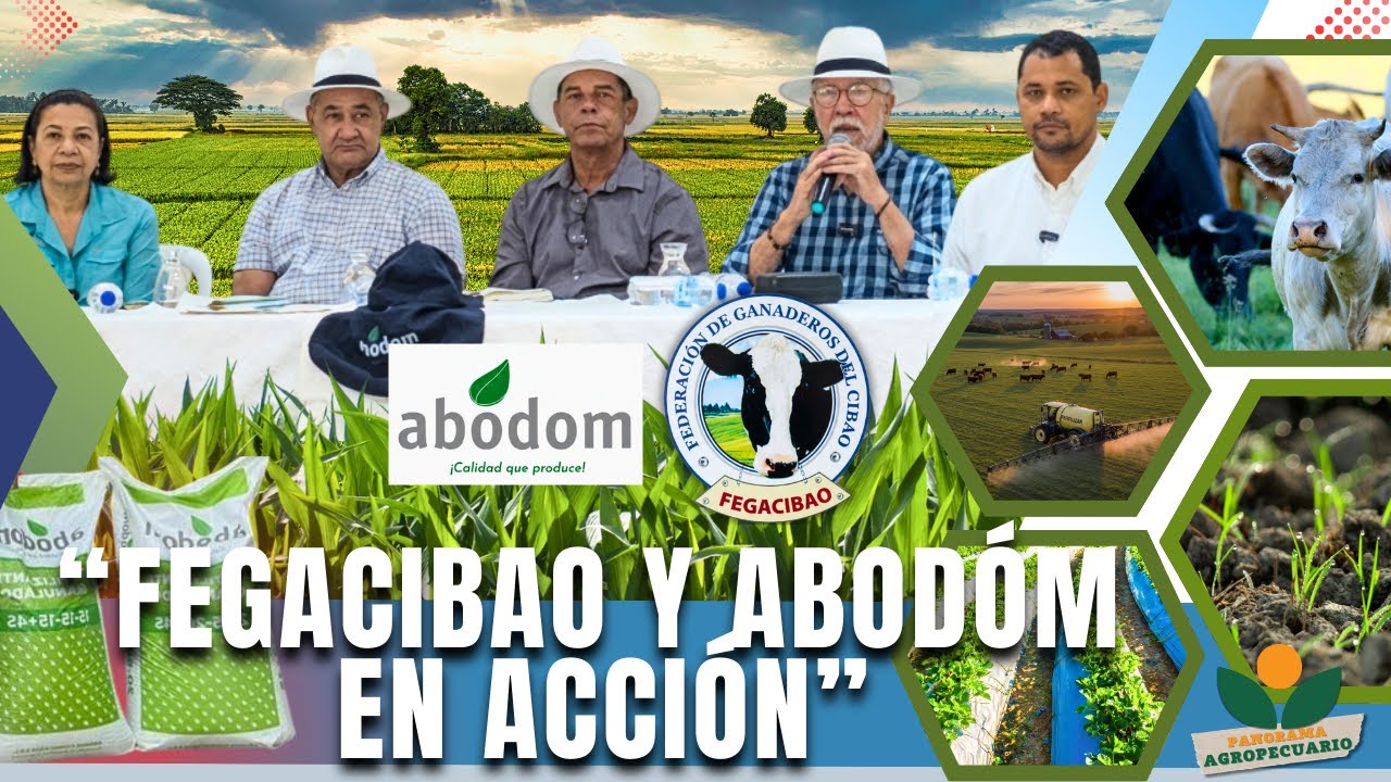 ¡FERTILIZAR PAGA! | Panorama Agropecuario