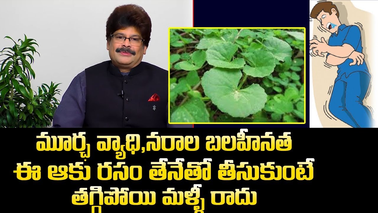 మూర్ఛ వ్యాధి,నరాల బలహీనత ఈ ఆకు జ్యూస్ తేనెతో తాగితే మళ్ళి రాదు|Cure Fits,Nerve Weakness Natural
