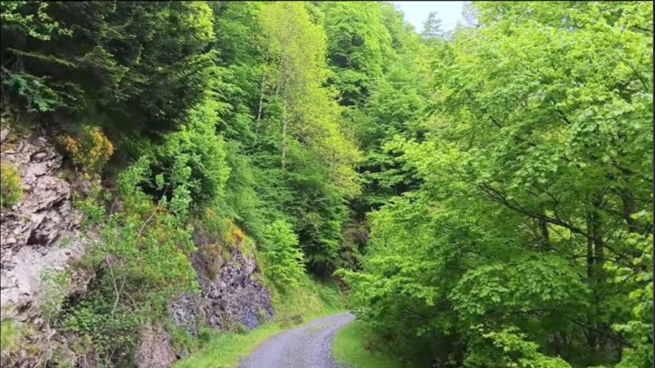 Selva de Irati. Que alucine. Valle del Salazar. Navarra/Francia