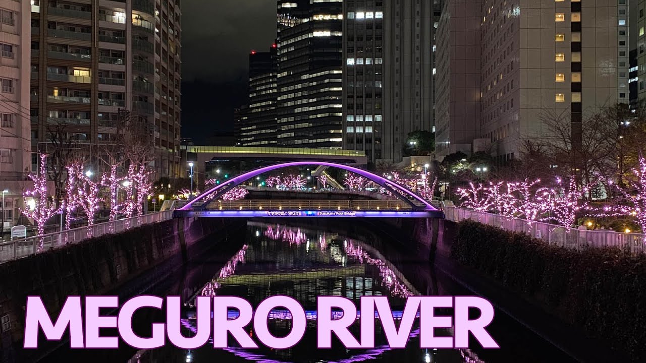 目黒川 | Meguro River Illumination 2023
