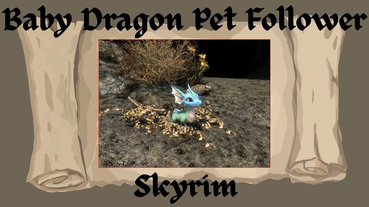 Детёныш дракона — питомец-спутник — Skyrim Special Edition/AE