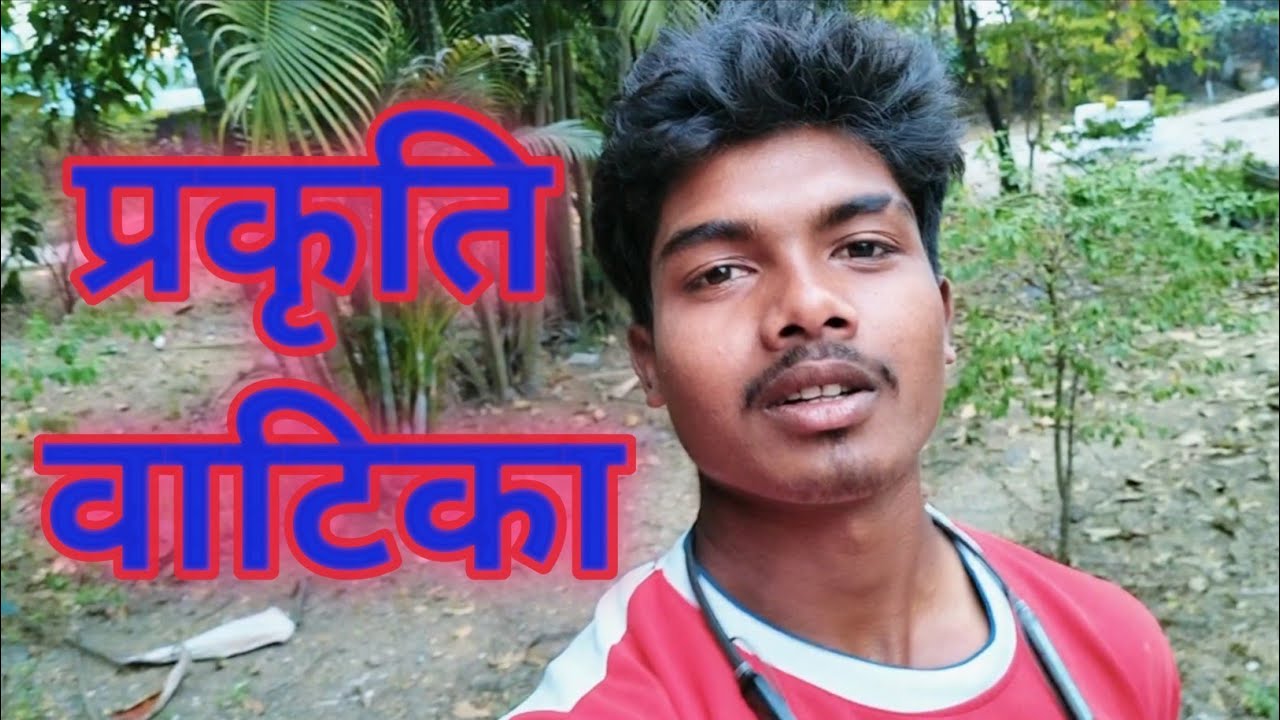 🌿 प्राकृतिक वाटिका: हरियाली का स्वर्ग प्रकृति की गोद में