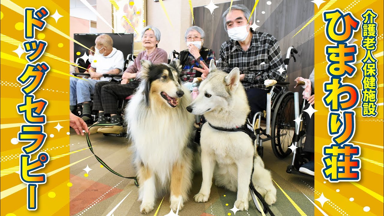 ひまわり荘でドッグセラピー